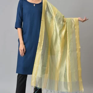 Multi Coloured Banarasi Dupatta