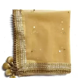 Women Zari Woven Dupatta