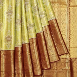 Parrot Green Kanchipuram Tissue Silk Saree